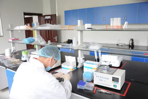 黃梅縣市場監督管理局食品快檢服務中心2024年2月28日與3月4日檢測結果報告