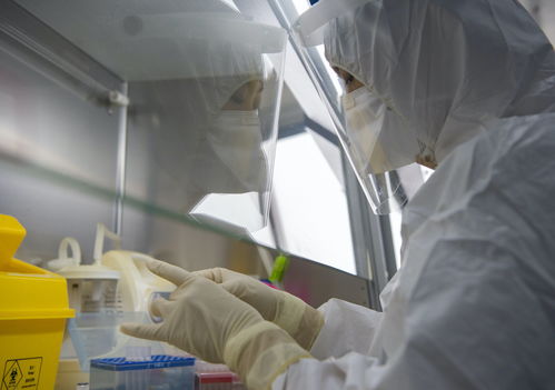 金域醫(yī)學(xué)舉全集團(tuán)之力，支援北京核酸檢測(cè)日產(chǎn)能突破3萬(wàn)例